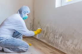  Reiffton, PA Mold Remediation Pros