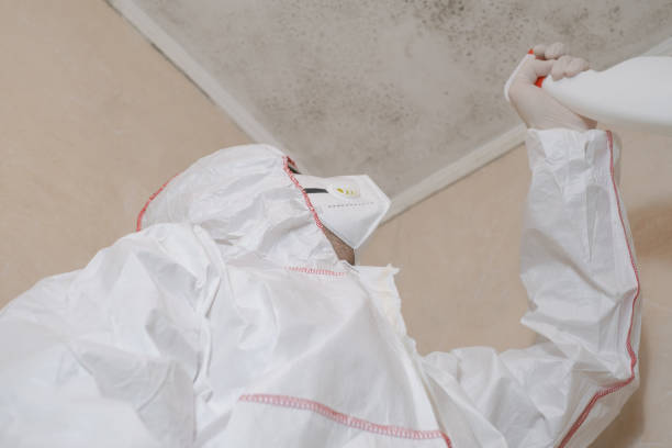 Reiffton, PA Mold Remediation Company